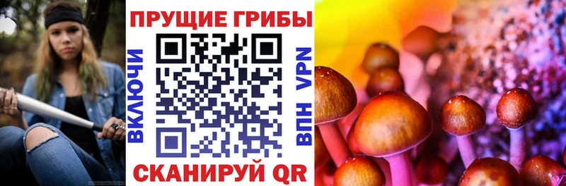 Псилоцибиновые грибы Psilocybine cubensis  Котово 